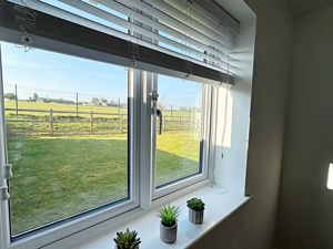 View from Bed One- click for photo gallery